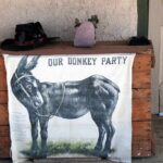 Dems REMOVE “Mother” and “Woman” From State Docs donkey illustration on cloth hanging from wooden chest