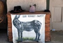 donkey illustration on cloth hanging from wooden chest