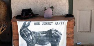 donkey illustration on cloth hanging from wooden chest
