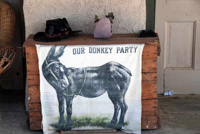 donkey illustration on cloth hanging from wooden chest