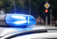 Pedophile Stabbing Twist Shocks Courtroom Police car blue siren light flashing