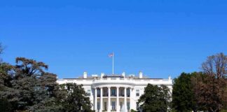 The White House facade with flag and gardens