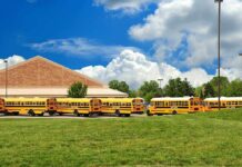 Field Trip Horror – Teacher and Student DEAD! A row of yellow school buses parked in front of a school building under a cloudy sky