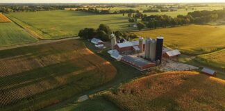 Aerial view of a farm with silos and barns amid golden crop fields