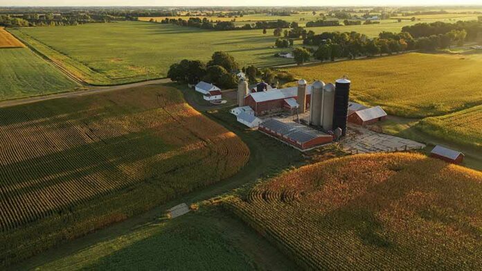 shutterstock_1808739922 Aerial view of a farm with silos and barns amid golden crop fields
