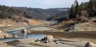 Drought-exposed riverbed with scattered boulders and low water