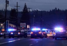 Pregnant Mom Lit on Fire – Child Watches On Police cars with flashing lights block a road at night