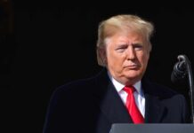CNN Airs Compilation of Republican Senators Railing Against Trump Donald Trump at a podium with a microphone