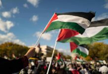 El-Sayed’s Sister Just OUTED His Muslim Brotherhood Ties Palestinian flags waving at an outdoor rally