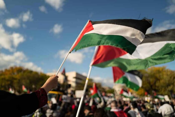 shutterstock_2378182777 Palestinian flags waving at an outdoor rally